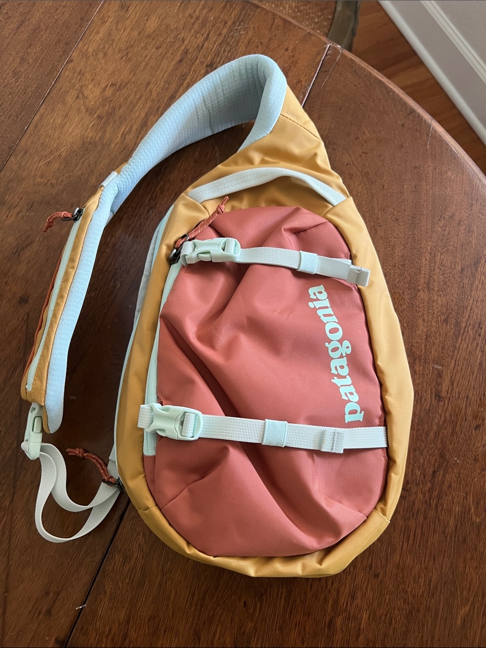 Patagonia NWOT Atom Sling Bag